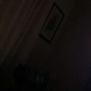 Meet your Posher, Bella